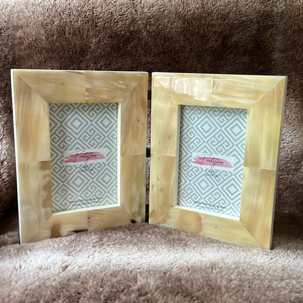 Natural Horn Hinged 4x6 Picture Dual Frame Home Table Decor Ivory Tan